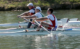 Bogicevic-Nesic-Stanojevic